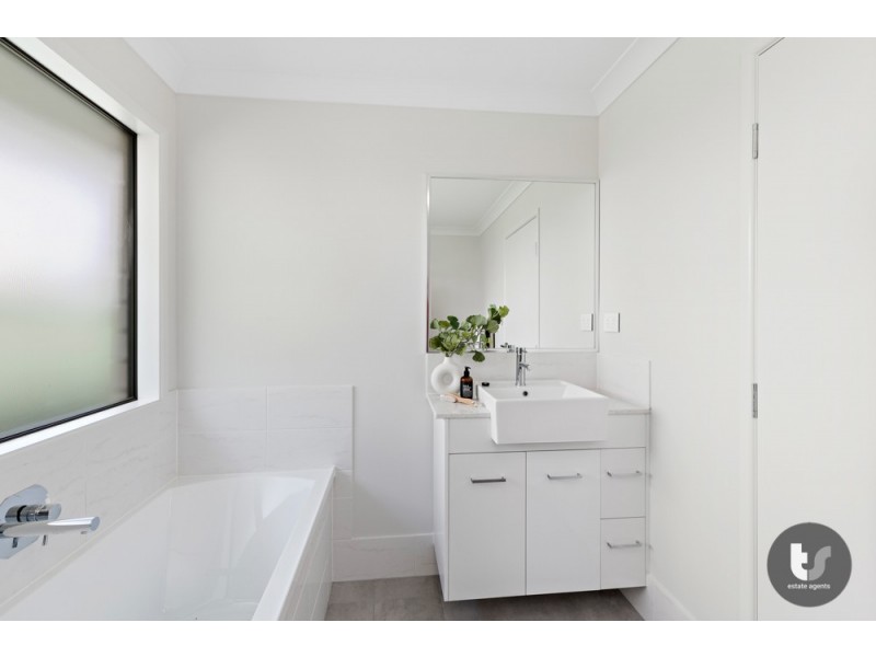 19 Maranta Street, Alexandra Hills QLD 4161