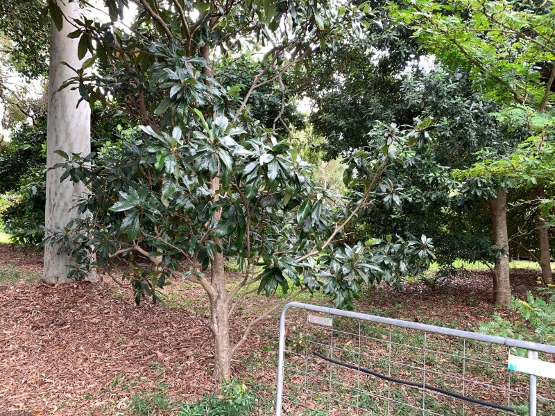 22-24 Mooroondu Street, Coochiemudlo Island QLD 4184