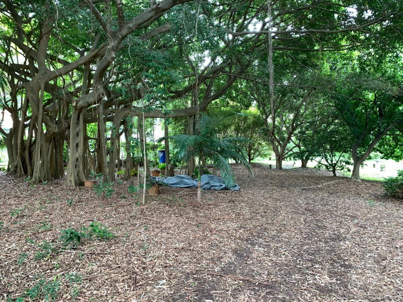 22-24 Mooroondu Street, Coochiemudlo Island QLD 4184