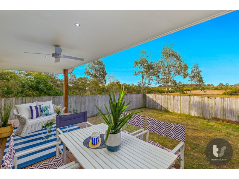 61 Ferry Road, Thorneside QLD 4158