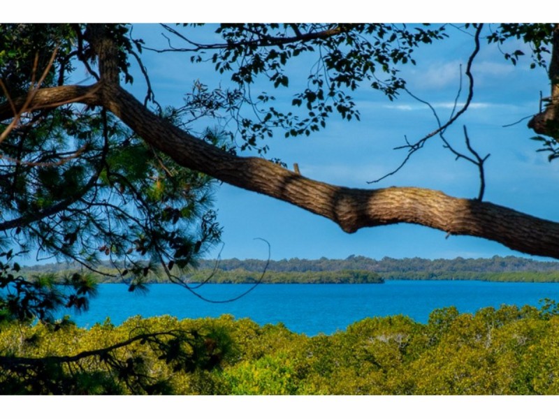 10 Water Street, Cleveland QLD 4163