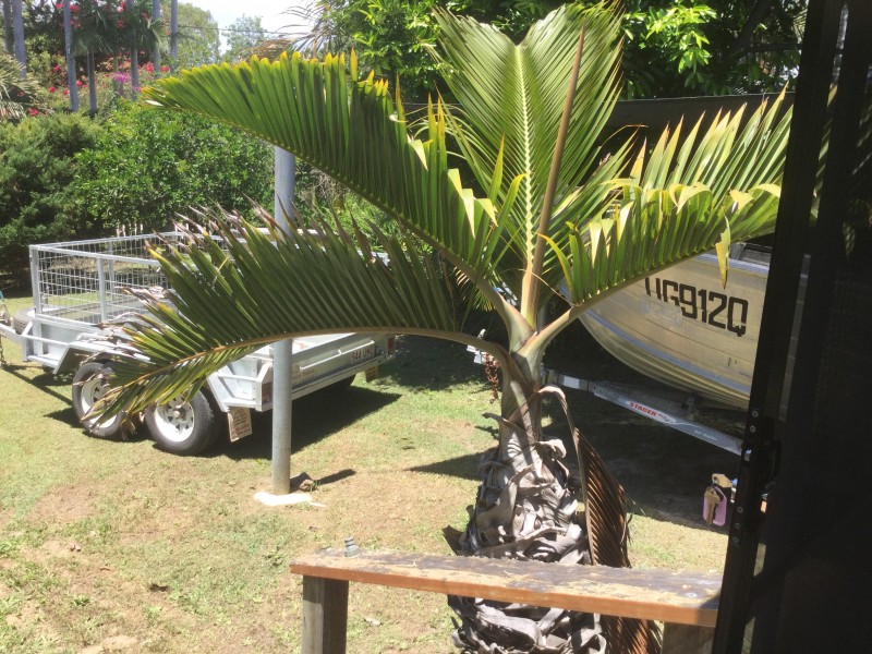 16 Orangegrove Street, Coochiemudlo Island QLD 4184