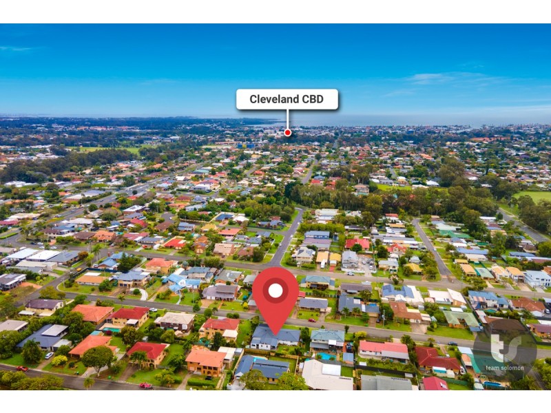 11 Tarcutta Street, Cleveland QLD 4163