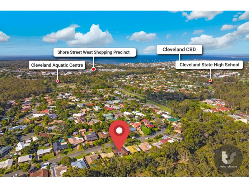 54 Sunshine Drive, Cleveland QLD 4163