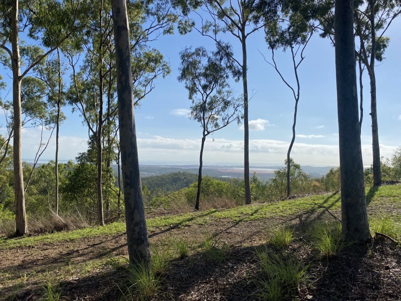 Lot 1 and Lot 2 Diamantina Drive, O’connell QLD 4680