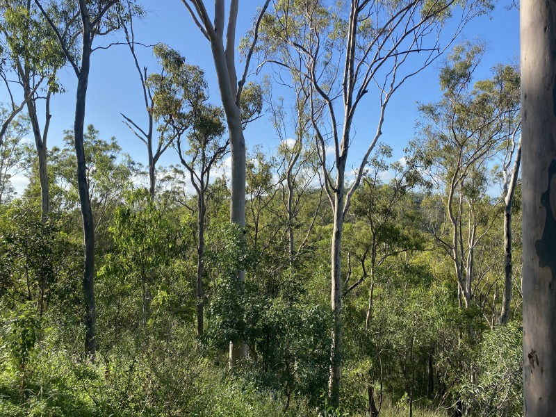 Lot 1 and Lot 2 Diamantina Drive, O’connell QLD 4680