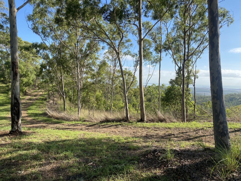 Lot 1 and Lot 2 Diamantina Drive, O’connell QLD 4680