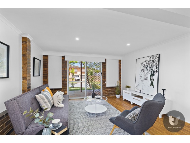 13 Nereid Street, Capalaba QLD 4157