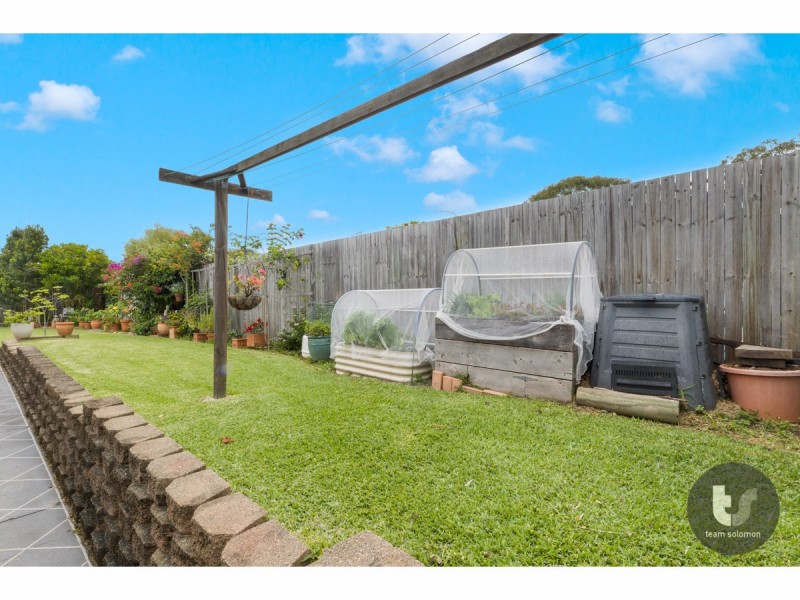 11 Tarcutta Street, Cleveland QLD 4163