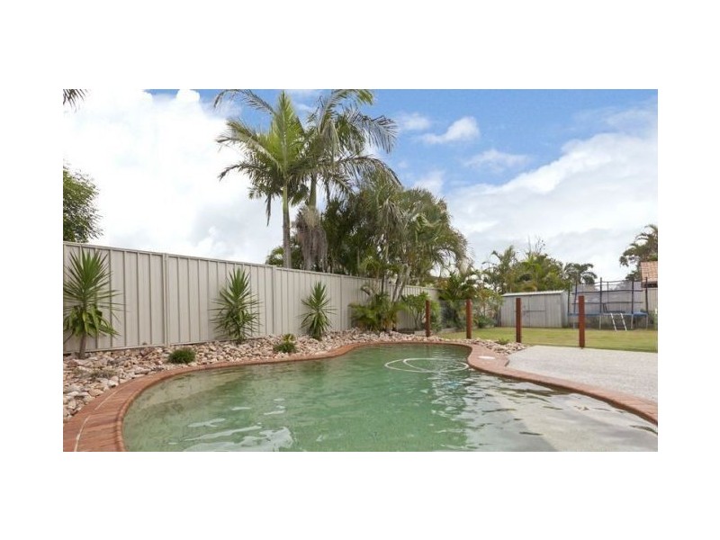 17 Zephyr Court, Birkdale QLD 4159