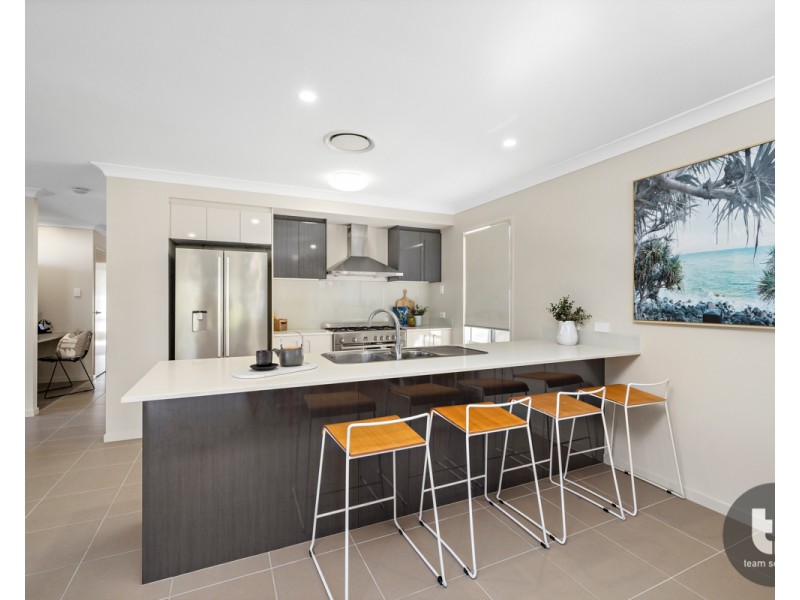 17 Gotha Street, Cleveland QLD 4163