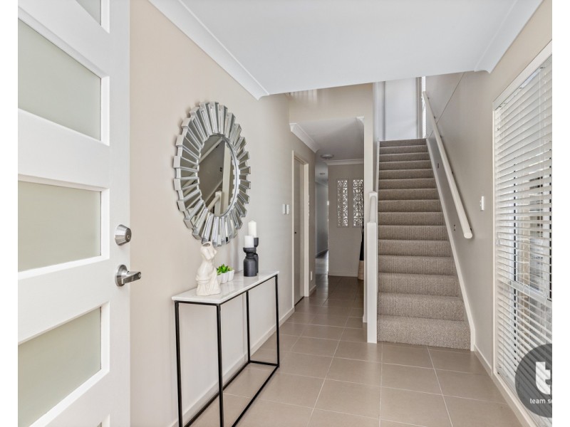 17 Gotha Street, Cleveland QLD 4163