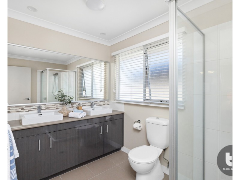 17 Gotha Street, Cleveland QLD 4163