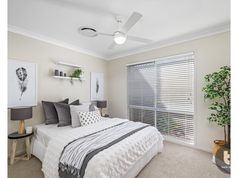 17 Gotha Street, Cleveland QLD 4163