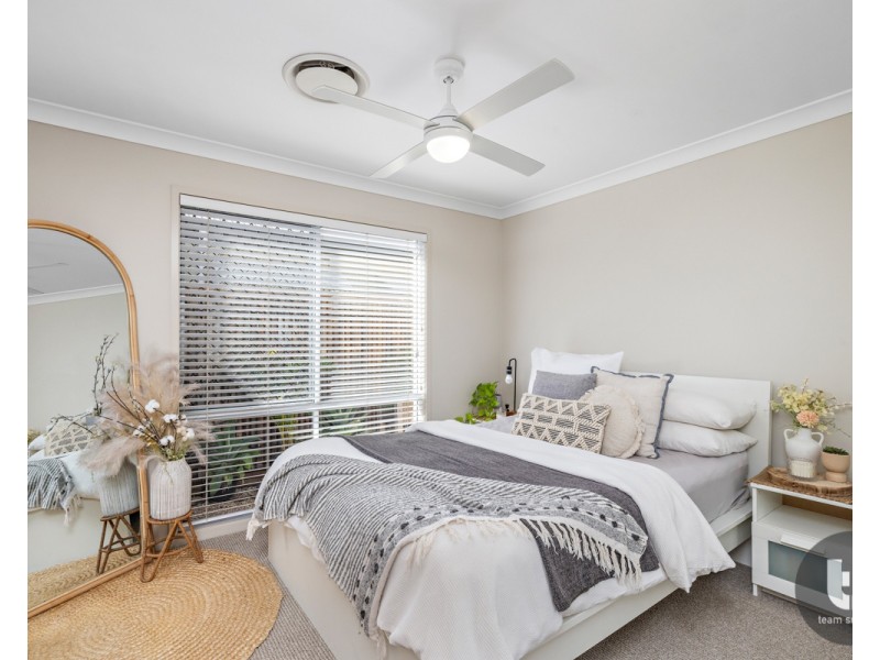 17 Gotha Street, Cleveland QLD 4163
