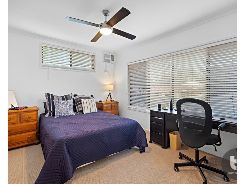 19 Ribonwood Street, Thornlands QLD 4164