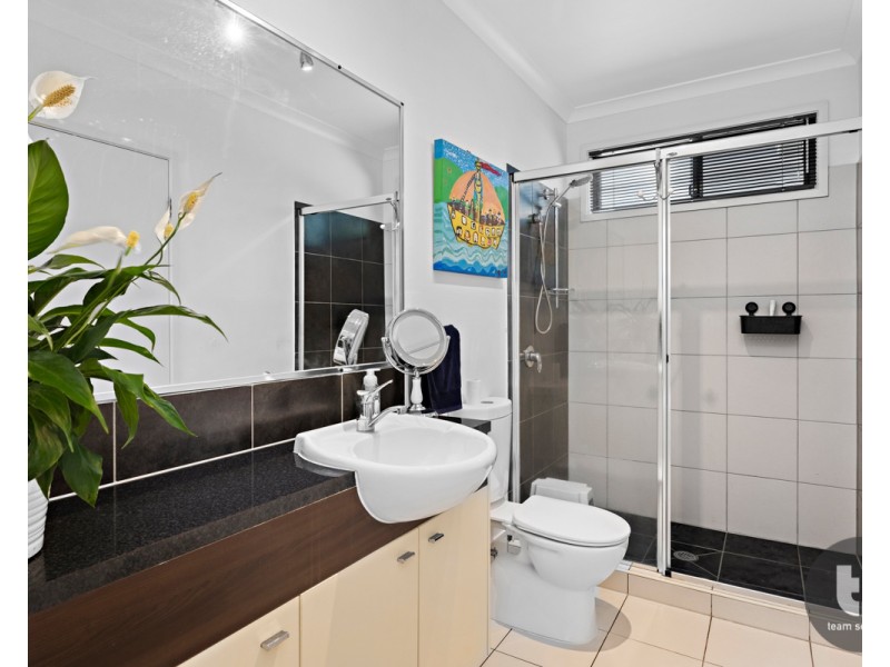 19 Ribonwood Street, Thornlands QLD 4164