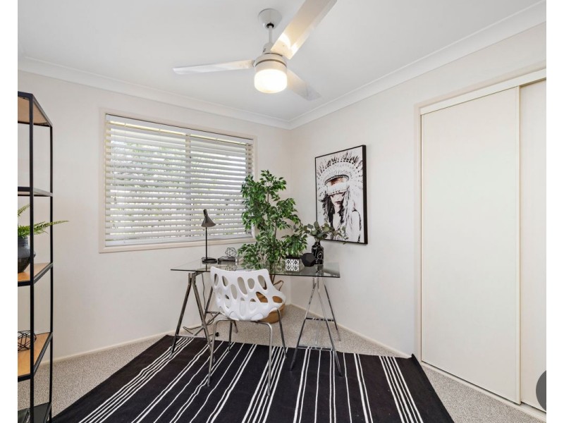 50 Clive Road, Birkdale QLD 4159