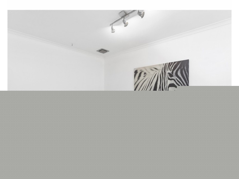 134 Bainbridge Street,, Ormiston QLD 4160