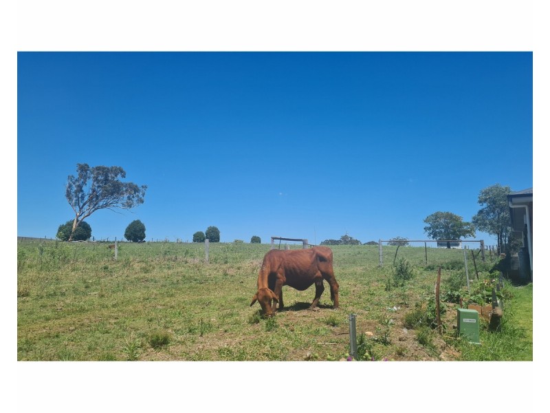 3 Lewis Street, Thornlands QLD 4164