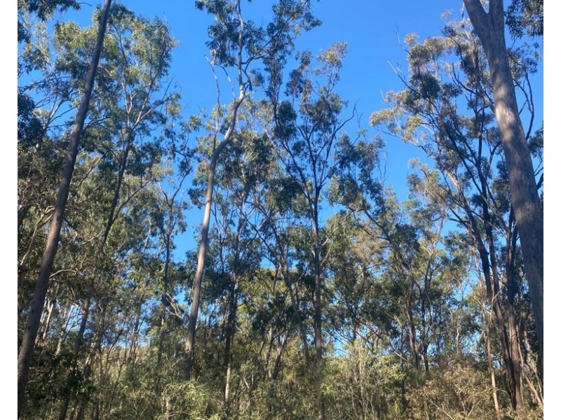 259-265 Davidson Road, Jimboomba QLD 4280