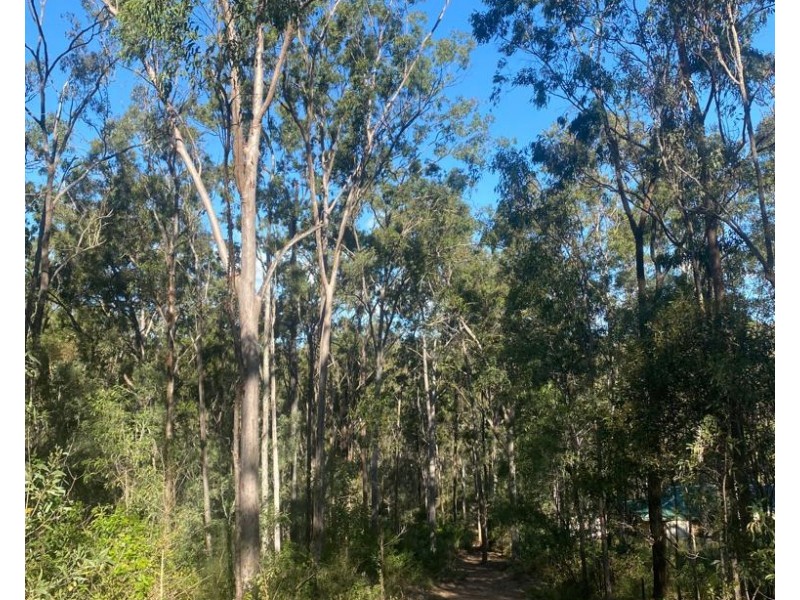 259-265 Davidson Road, Jimboomba QLD 4280