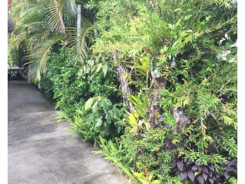 11 Carefree Street, Coochiemudlo Island QLD 4184