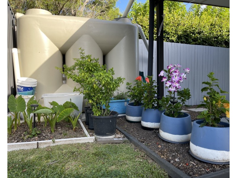 135 Blackwood Road, Manly West QLD 4179