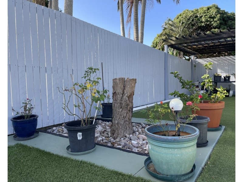 135 Blackwood Road, Manly West QLD 4179