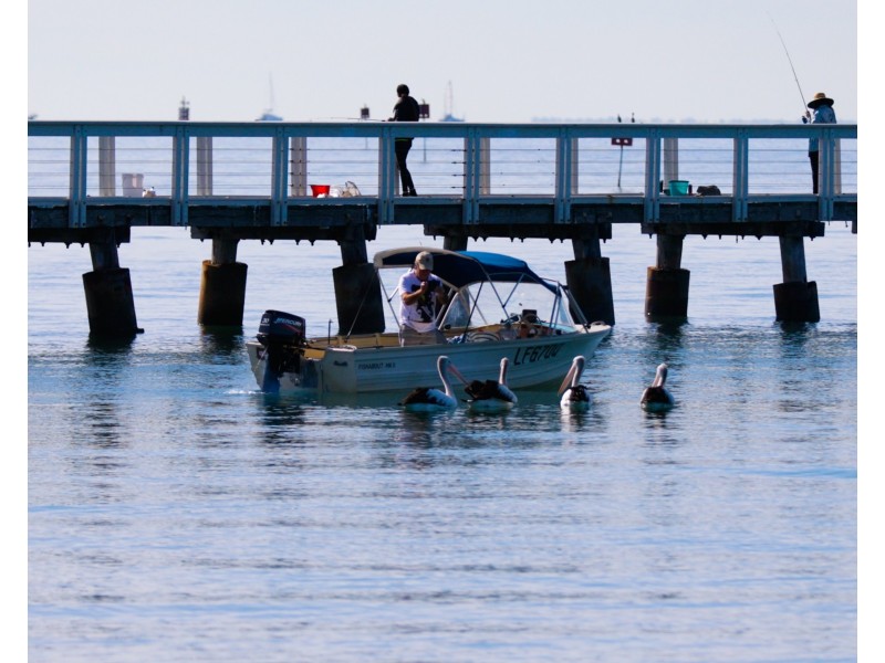 Wellington Point QLD 4160