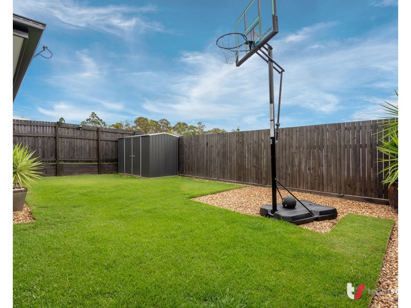 172 Falkland Street East, Pallara QLD 4110