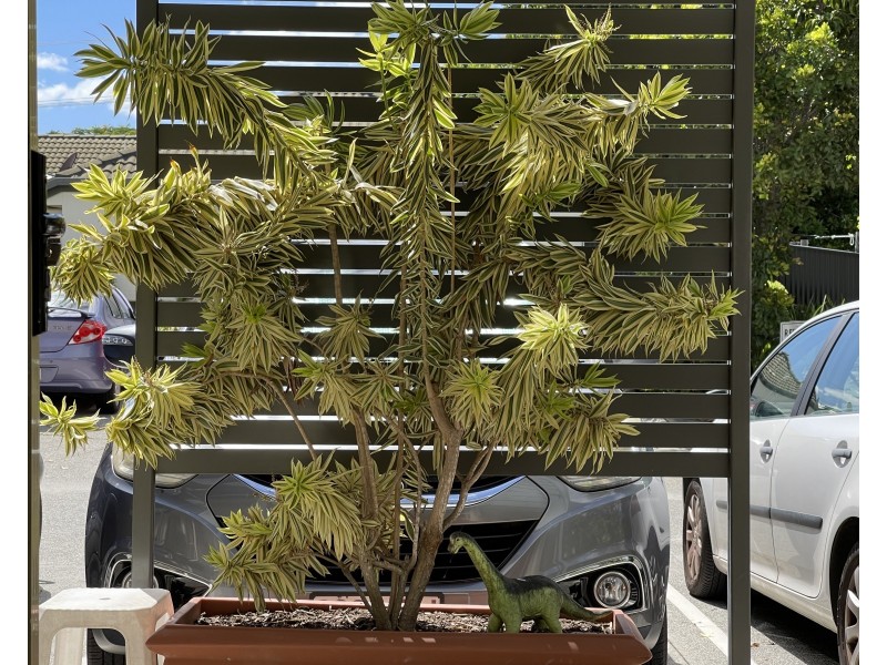 12-13/158 Middle Street, Cleveland QLD 4163