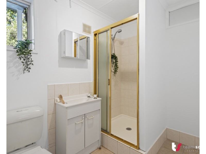 21 Channel Street, Cleveland QLD 4163