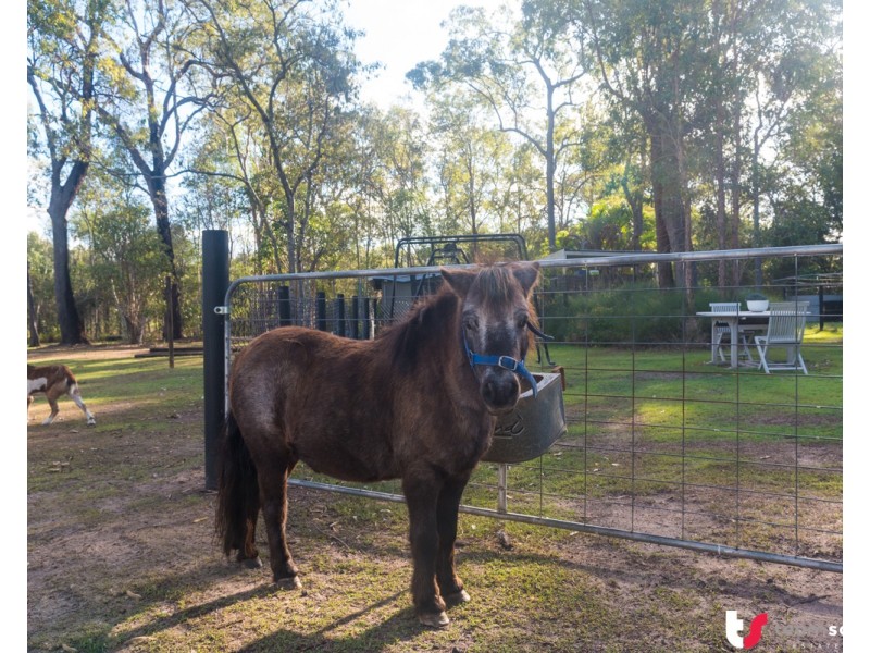 108 Rose Farm Lane, Logan Village QLD 4207