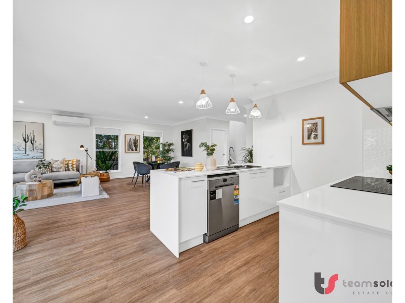 1 Arundel Street, Alexandra Hills QLD 4161