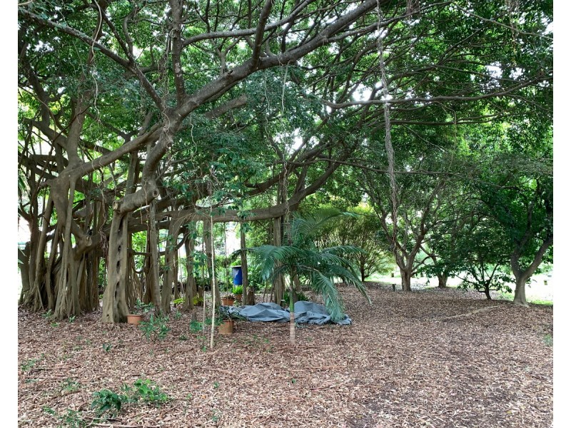 22-24 Mooroondu Street, Coochiemudlo Island QLD 4184