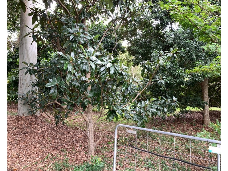 22-24 Mooroondu Street, Coochiemudlo Island QLD 4184