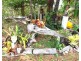 26 Perulpa Street, Coochiemudlo Island QLD 4184