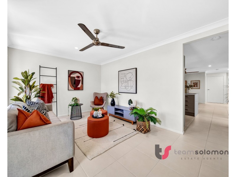 173a Long Street, Cleveland QLD 4163