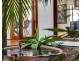 4 Katandra Court, Cleveland QLD 4163