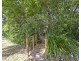 10 Edwards Place, Ormeau QLD 4208