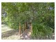 10 Edwards Place, Ormeau QLD 4208