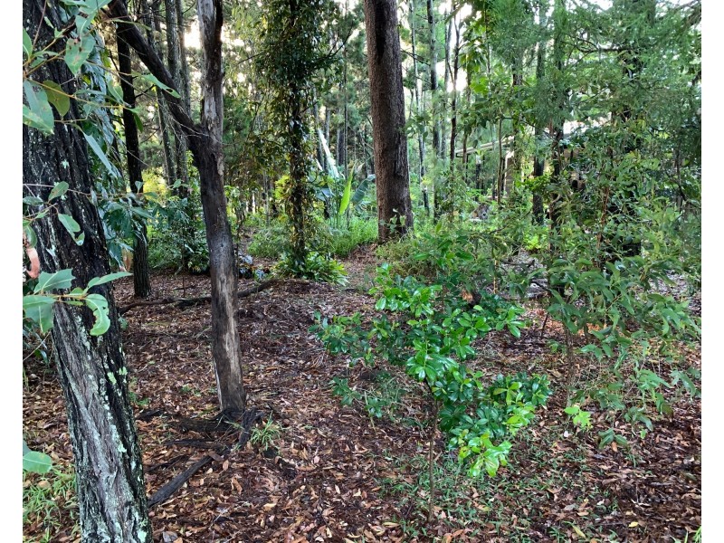 40 Elizabeth Street, Coochiemudlo Island QLD 4184