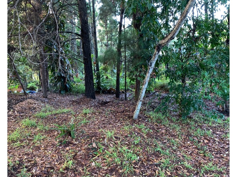 40 Elizabeth Street, Coochiemudlo Island QLD 4184