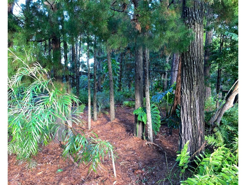 40 Elizabeth Street, Coochiemudlo Island QLD 4184