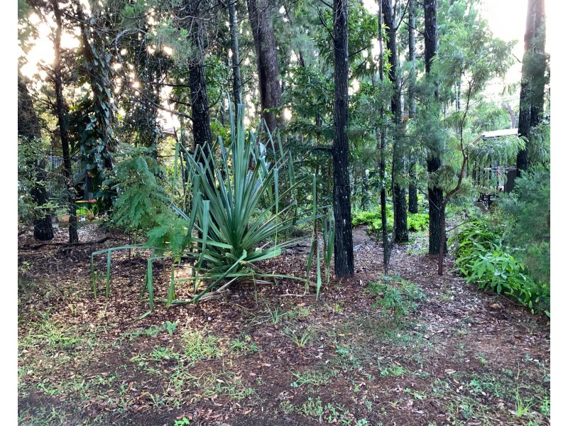 40 Elizabeth Street, Coochiemudlo Island QLD 4184