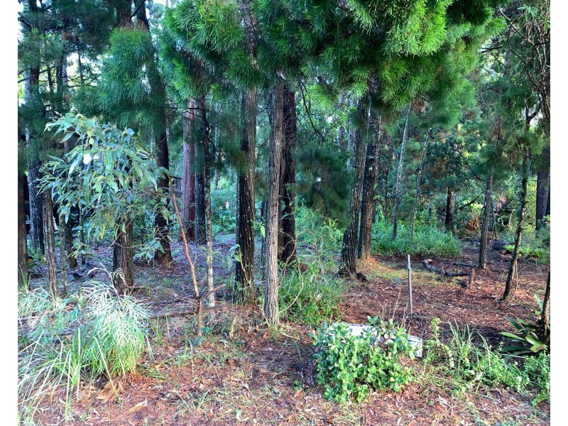 40 Elizabeth Street, Coochiemudlo Island QLD 4184