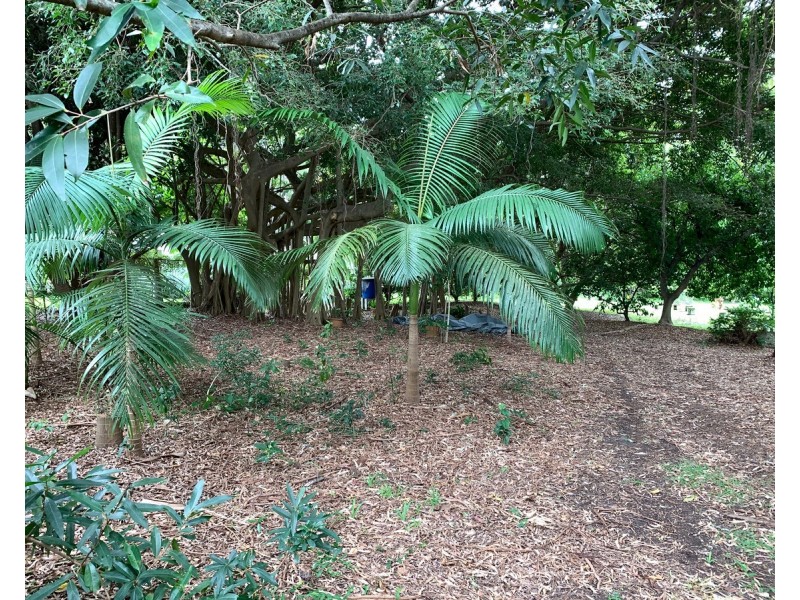 22-24 Mooroondu Street, Coochiemudlo Island QLD 4184