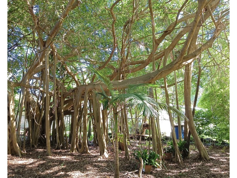 22-24 Mooroondu Street, Coochiemudlo Island QLD 4184