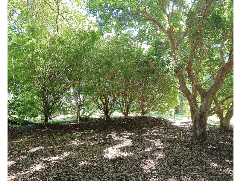 22-24 Mooroondu Street, Coochiemudlo Island QLD 4184